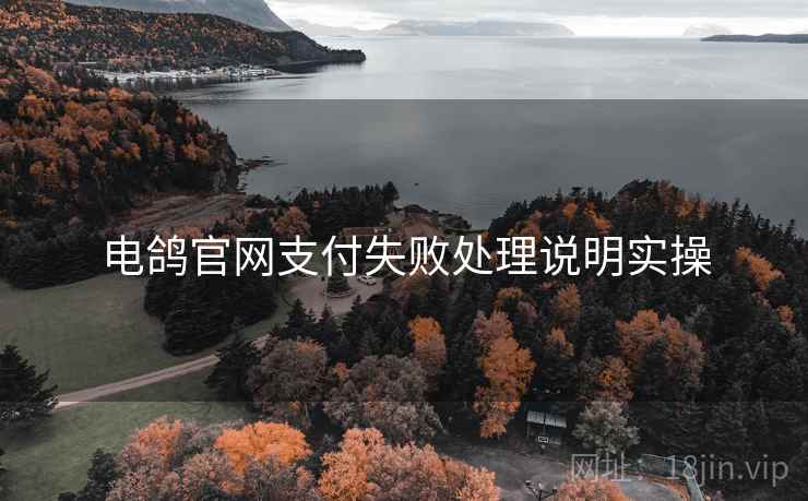 电鸽官网支付失败处理说明实操