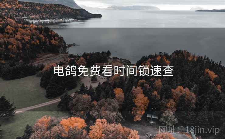 电鸽免费看时间锁速查