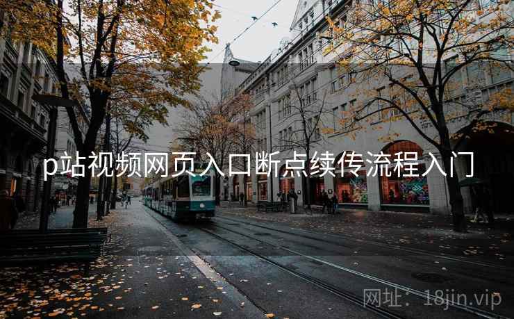 p站视频网页入口断点续传流程入门