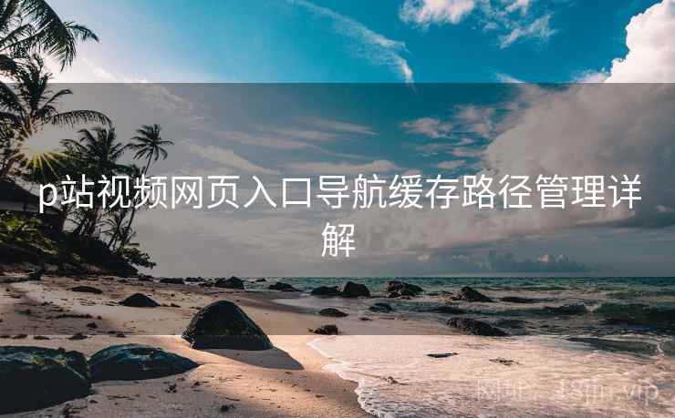 p站视频网页入口导航缓存路径管理详解