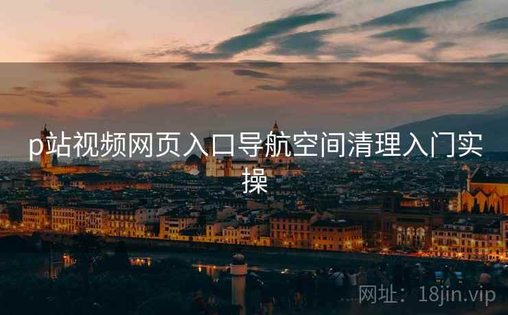 p站视频网页入口导航空间清理入门实操