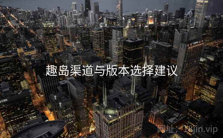 趣岛渠道与版本选择建议