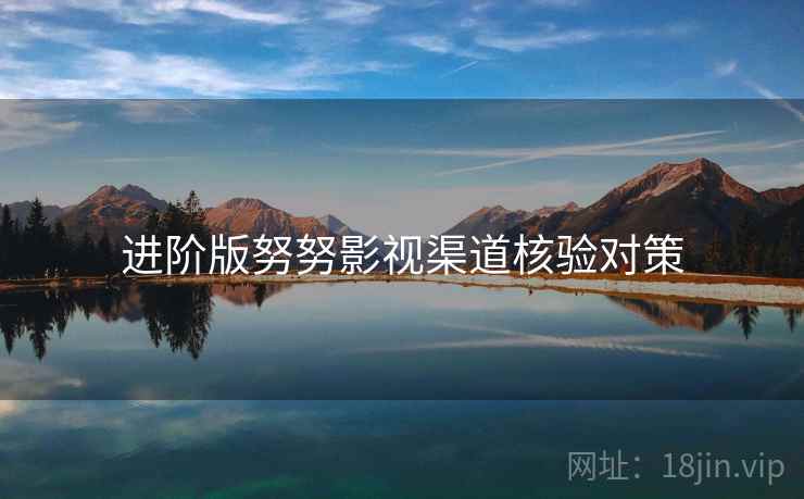 进阶版努努影视渠道核验对策