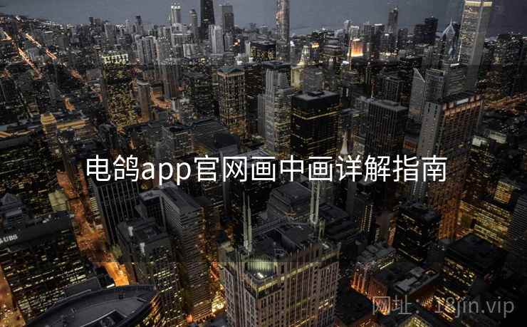 电鸽app官网画中画详解指南