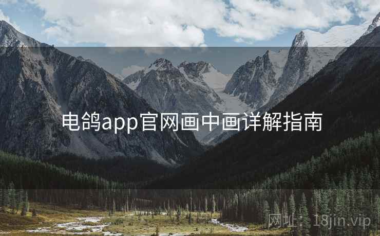 电鸽app官网画中画详解指南