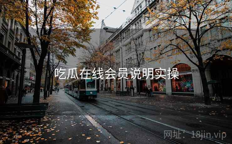 吃瓜在线会员说明实操