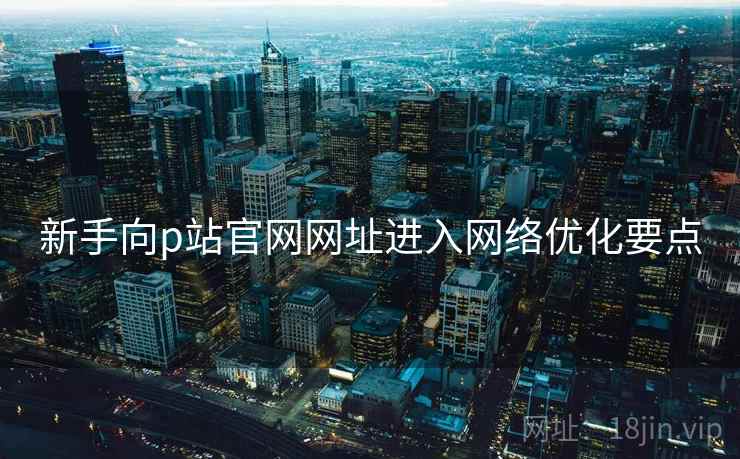 新手向p站官网网址进入网络优化要点