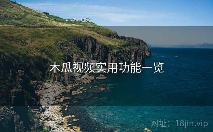 木瓜视频实用功能一览