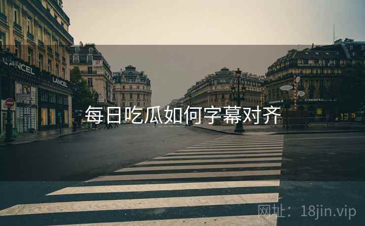 每日吃瓜如何字幕对齐
