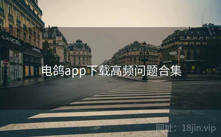 电鸽app下载高频问题合集 电鸽app下载高频问题合集