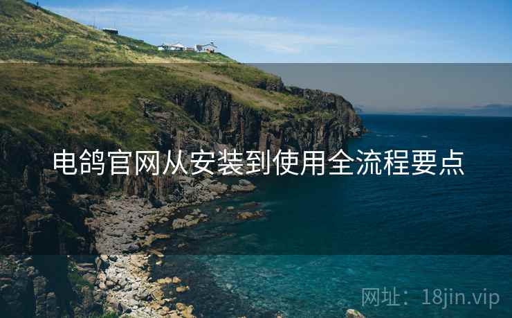 电鸽官网从安装到使用全流程要点