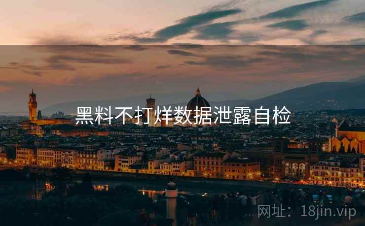 黑料不打烊数据泄露自检