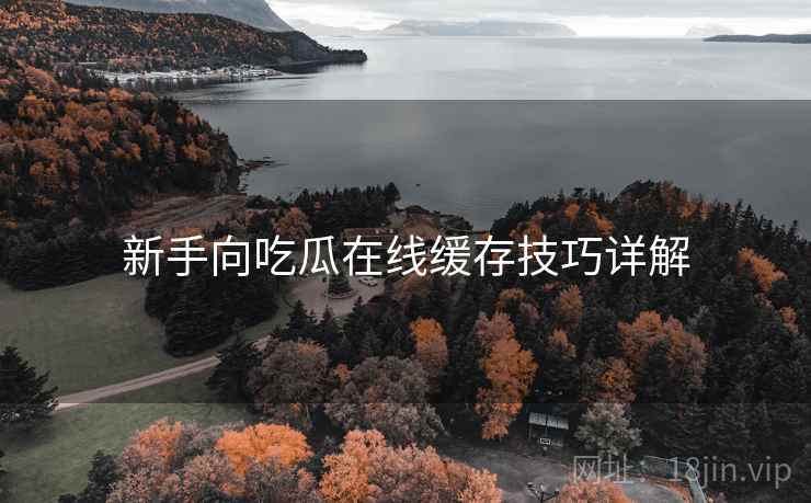 新手向吃瓜在线缓存技巧详解 新手向吃瓜在线缓存技巧详解