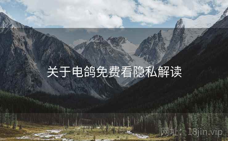关于电鸽免费看隐私解读
